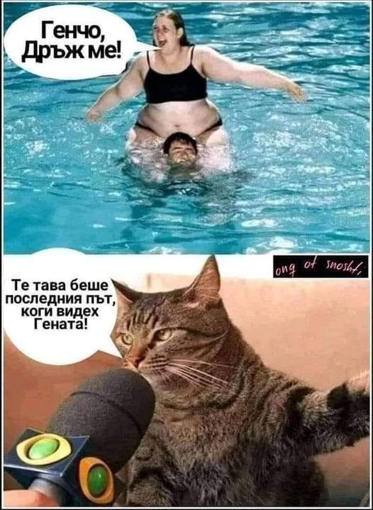 Натиснете снимката за да я уголемите

Име:451018044_8604835132878530_2347941343122132373_n.jpg
Прегледи:528
Размер:78.8 КБ
ID:6969356