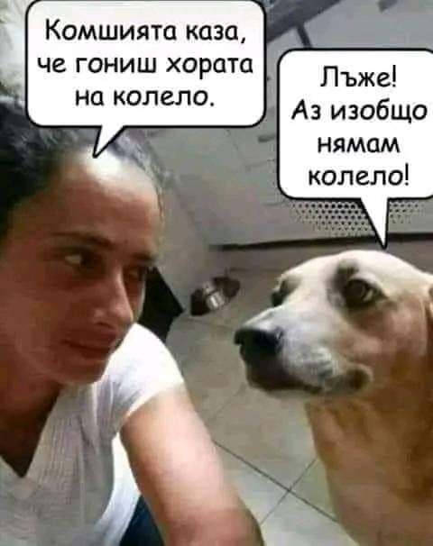 Натиснете снимката за да я уголемите

Име:451478704_446479621704965_2755200236669723329_n.jpg
Прегледи:508
Размер:28.1 КБ
ID:6969358