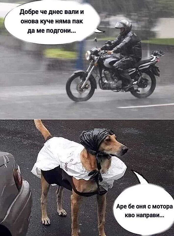 Натиснете снимката за да я уголемите

Име:452285280_1258799755276605_8056896405868042885_n.jpg
Прегледи:869
Размер:57.0 КБ
ID:6969873
