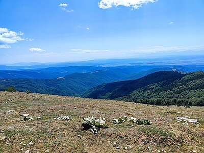 Натиснете снимката за да я уголемите

Име:IMG_20240804_131840.jpg
Прегледи:173
Размер:870.3 КБ
ID:6970596