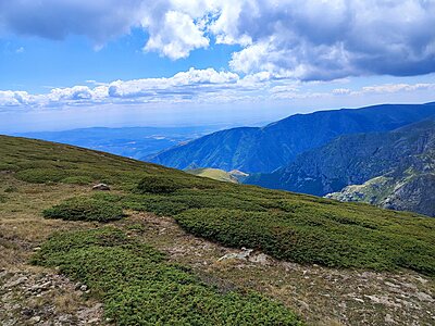 Натиснете снимката за да я уголемите

Име:IMG_20240810_140702.jpg
Прегледи:314
Размер:854.9 КБ
ID:6970919