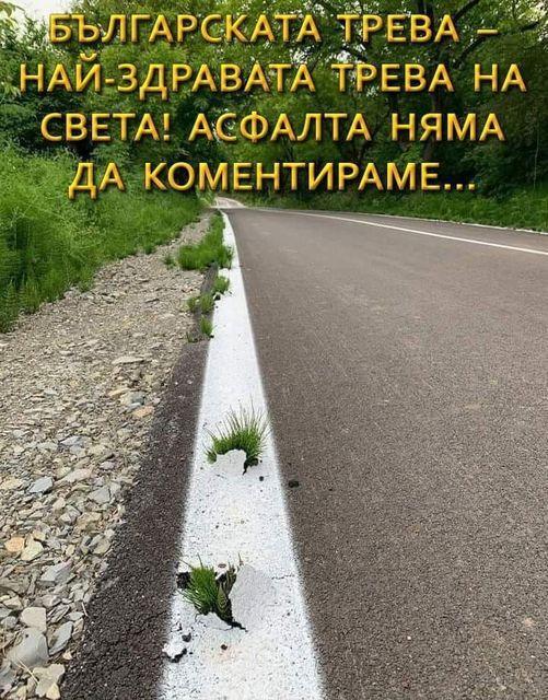 Натиснете снимката за да я уголемите

Име:454581729_1019304279703494_1821843253165362820_n.jpg
Прегледи:1093
Размер:95.3 КБ
ID:6971018