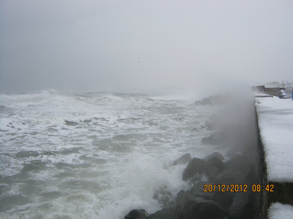 Натиснете снимката за да я уголемите

Име:Picture 019.jpg
Прегледи:1
Размер:77.5 КБ
ID:5436214