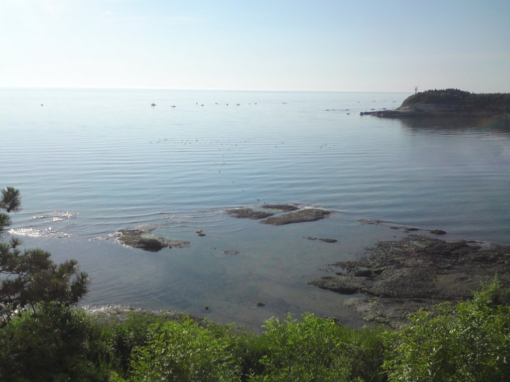 Натиснете снимката за да я уголемите

Име:DSC01048.jpg
Прегледи:2
Размер:125.2 КБ
ID:5380907