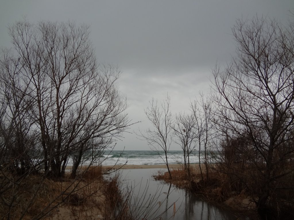лагуна