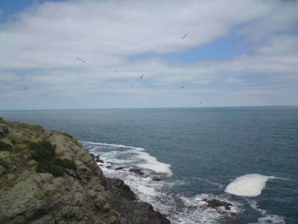 Натиснете снимката за да я уголемите

Име:DSC01110.jpg
Прегледи:2
Размер:101.1 КБ
ID:5382640