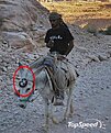 Натиснете снимката за да я уголемите

Име:bmw-mule_460x0w_051312.jpg
Прегледи:688
Размер:82.4 КБ
ID:6974371