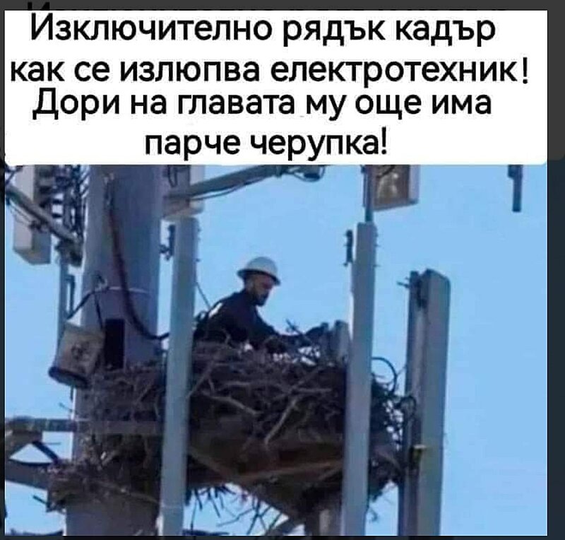 Натиснете снимката за да я уголемите

Име:20240924_051305.jpg
Прегледи:394
Размер:379.3 КБ
ID:6974584