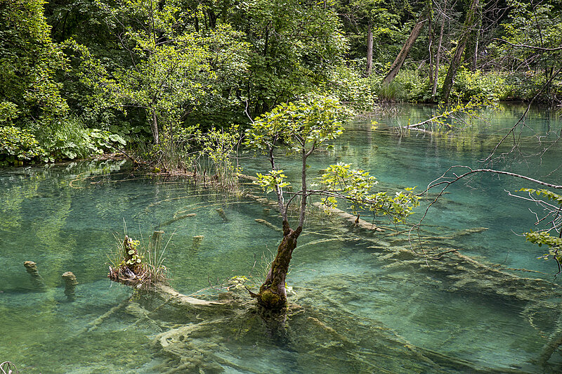Натиснете снимката за да я уголемите

Име:780_3156.jpg
Прегледи:195
Размер:3.65 МБ
ID:6975673