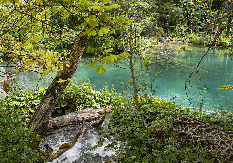 Натиснете снимката за да я уголемите

Име:780_3151.jpg
Прегледи:195
Размер:3.57 МБ
ID:6975677