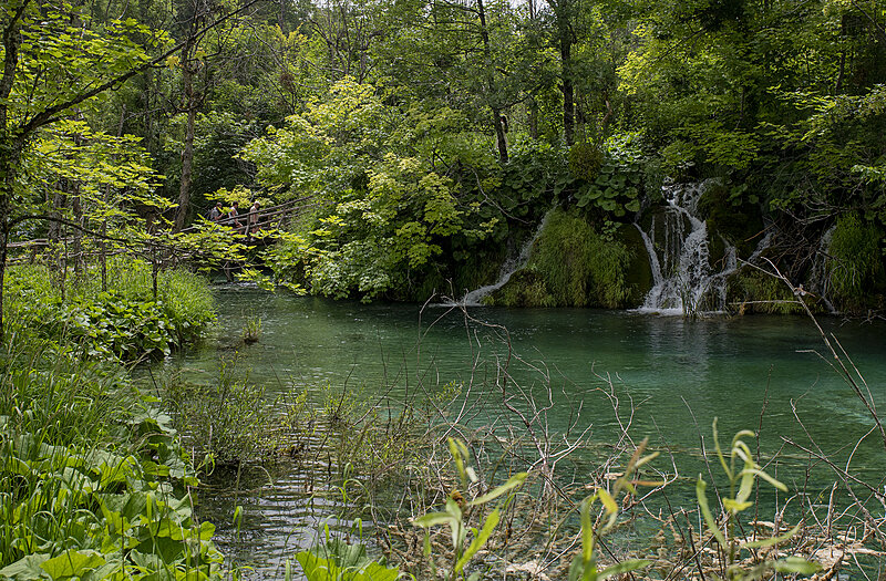 Натиснете снимката за да я уголемите

Име:780_3209.jpg
Прегледи:196
Размер:3.66 МБ
ID:6975679