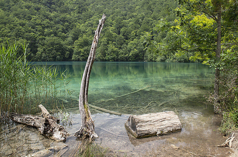 Натиснете снимката за да я уголемите

Име:780_3157.jpg
Прегледи:198
Размер:3.64 МБ
ID:6975680