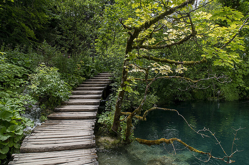 Натиснете снимката за да я уголемите

Име:780_3239.jpg
Прегледи:202
Размер:4.03 МБ
ID:6975683