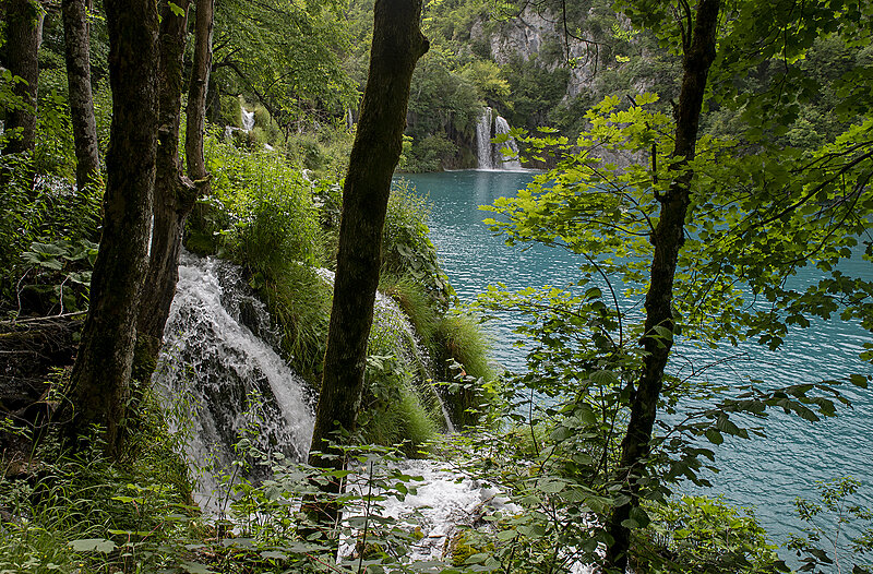 Натиснете снимката за да я уголемите

Име:780_3250.jpg
Прегледи:195
Размер:4.07 МБ
ID:6975685