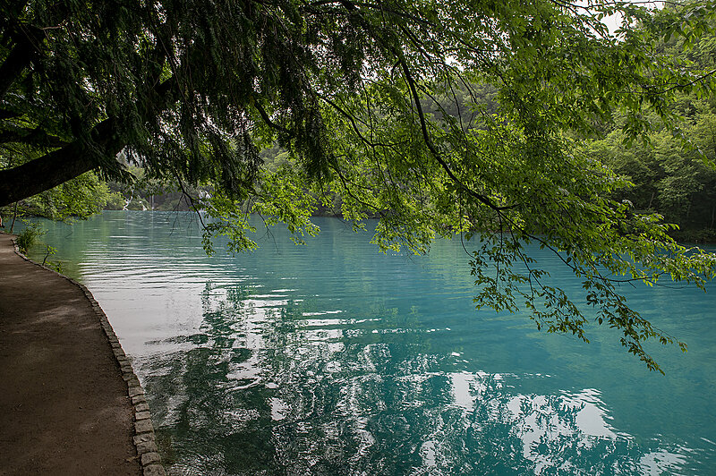 Натиснете снимката за да я уголемите

Име:780_3254.jpg
Прегледи:194
Размер:3.90 МБ
ID:6975686