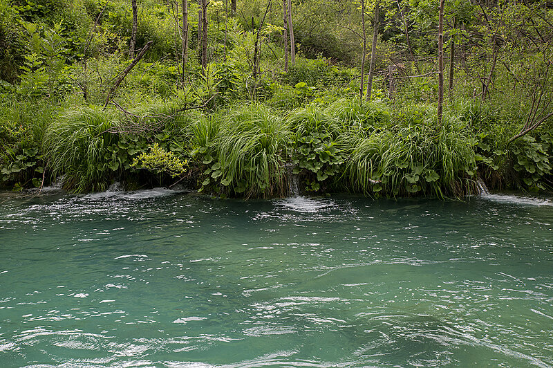 Натиснете снимката за да я уголемите

Име:780_3258.jpg
Прегледи:192
Размер:3.79 МБ
ID:6975688