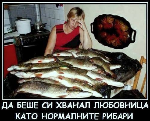 Натиснете снимката за да я уголемите

Име:469089993_1108669591264821_7760239946239696855_n.jpg
Прегледи:813
Размер:41.7 КБ
ID:6981587