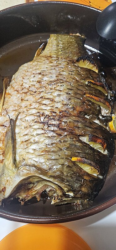 Натиснете снимката за да я уголемите

Име:20241206_211518.jpg
Прегледи:64
Размер:533.8 КБ
ID:6981618