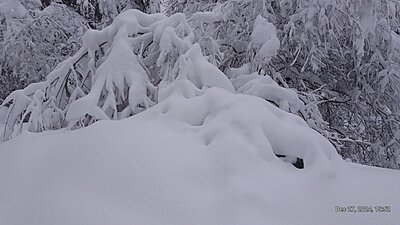 Натиснете снимката за да я уголемите

Име:IMG_20241227_155204_744.jpg
Прегледи:67
Размер:323.9 КБ
ID:6983660
