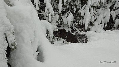 Натиснете снимката за да я уголемите

Име:IMG_20241227_160138_513.jpg
Прегледи:68
Размер:302.0 КБ
ID:6983662