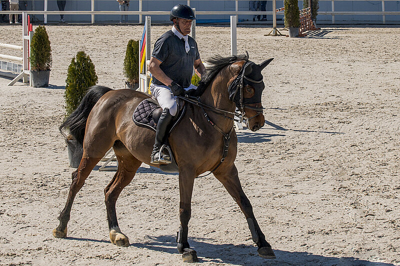 Натиснете снимката за да я уголемите

Име:780_7495.jpg
Прегледи:9
Размер:3.08 МБ
ID:7028521
