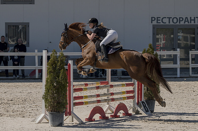 Натиснете снимката за да я уголемите

Име:780_7568.jpg
Прегледи:9
Размер:2.04 МБ
ID:7028520