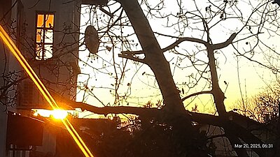 Натиснете снимката за да я уголемите

Име:IMG_20250320_063131_042.jpg
Прегледи:47
Размер:364.0 КБ
ID:6993194