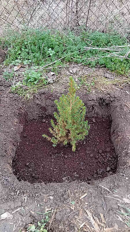 Натиснете снимката за да я уголемите

Име:13.jpg
Прегледи:285
Размер:228.0 КБ
ID:6993643