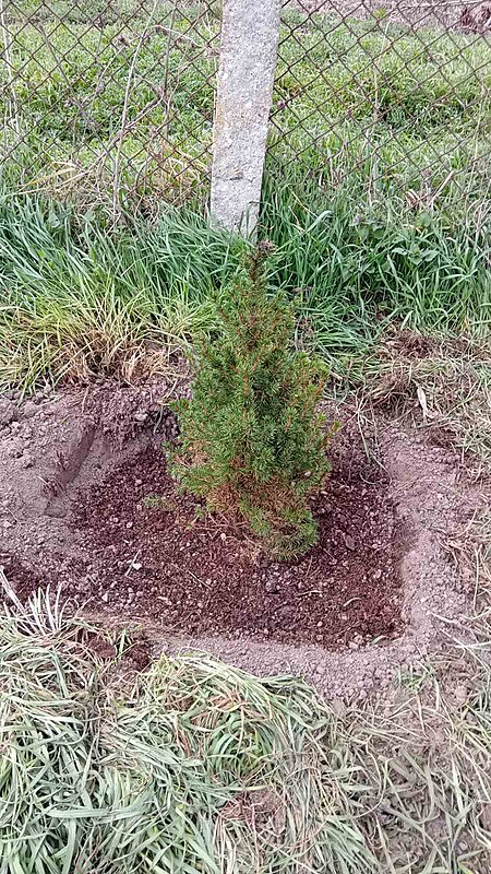 Натиснете снимката за да я уголемите

Име:11.jpg
Прегледи:286
Размер:238.7 КБ
ID:6993658