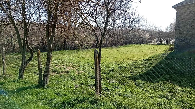 Натиснете снимката за да я уголемите

Име:19.jpg
Прегледи:287
Размер:240.4 КБ
ID:6993651