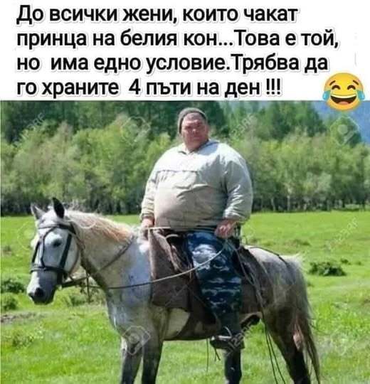 Натиснете снимката за да я уголемите

Име:480672273_1056464519853854_2590014130672525430_n.jpg
Прегледи:465
Размер:42.6 КБ
ID:6996834