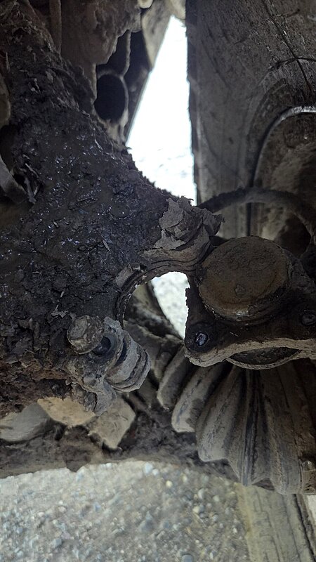 Натиснете снимката за да я уголемите

Име:20250502_174246.jpg
Прегледи:52
Размер:335.8 КБ
ID:6997676