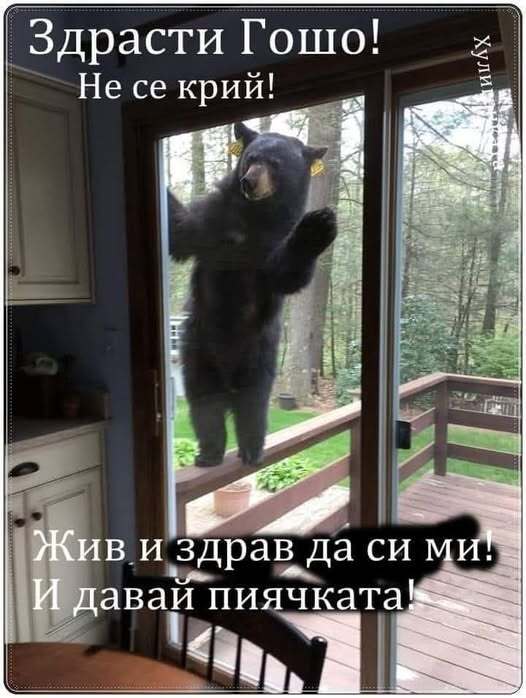 Натиснете снимката за да я уголемите

Име:495374875_1116678207165056_723218597046913256_n.jpg
Прегледи:717
Размер:50.6 КБ
ID:6997951