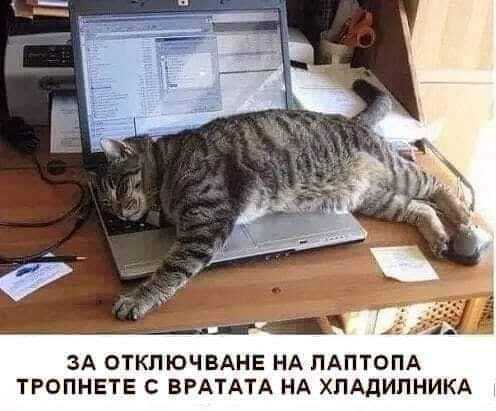 Натиснете снимката за да я уголемите

Име:496856347_1020651560264176_3248036316270742711_n.jpg
Прегледи:507
Размер:25.7 КБ
ID:6998630