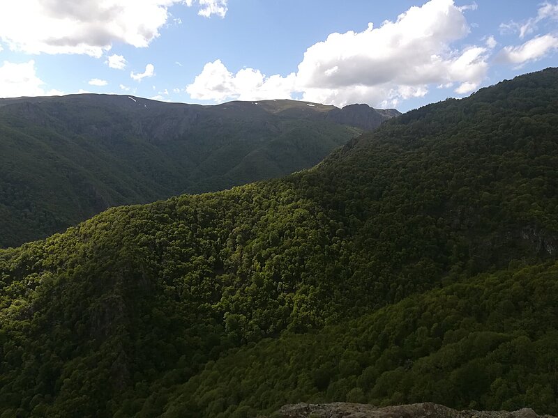 Натиснете снимката за да я уголемите  Име:IMG_20250518_161750.jpg Прегледи:0 Размер:380.5 КБ ID:6999435