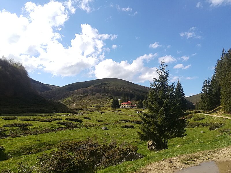 Натиснете снимката за да я уголемите  Име:IMG_20250518_173315.jpg Прегледи:0 Размер:593.3 КБ ID:6999437