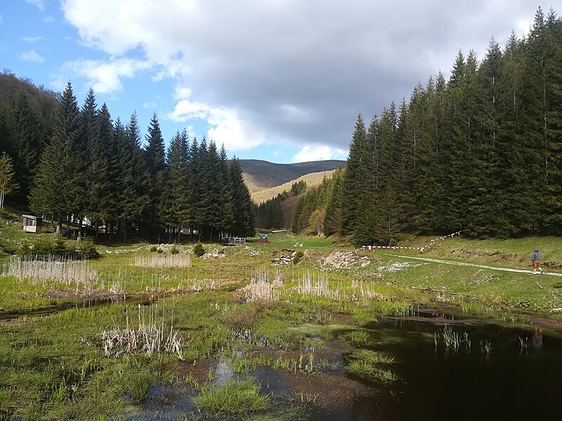 Натиснете снимката за да я уголемите  Име:IMG_20250518_173625.jpg Прегледи:0 Размер:752.2 КБ ID:6999440