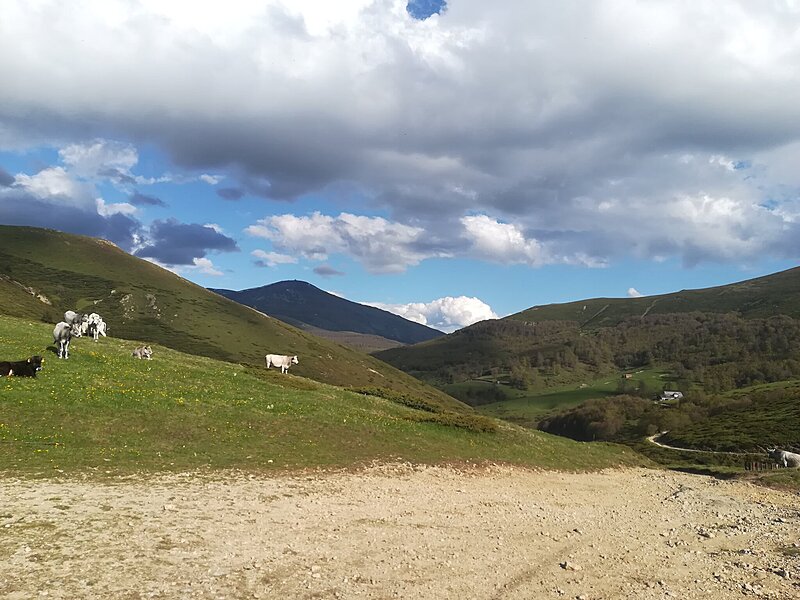 Натиснете снимката за да я уголемите  Име:IMG_20250518_180632.jpg Прегледи:0 Размер:434.2 КБ ID:6999442