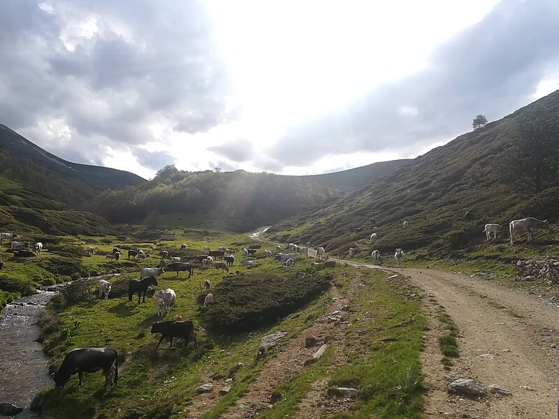 Натиснете снимката за да я уголемите  Име:IMG_20250518_175557.jpg Прегледи:0 Размер:536.1 КБ ID:6999443