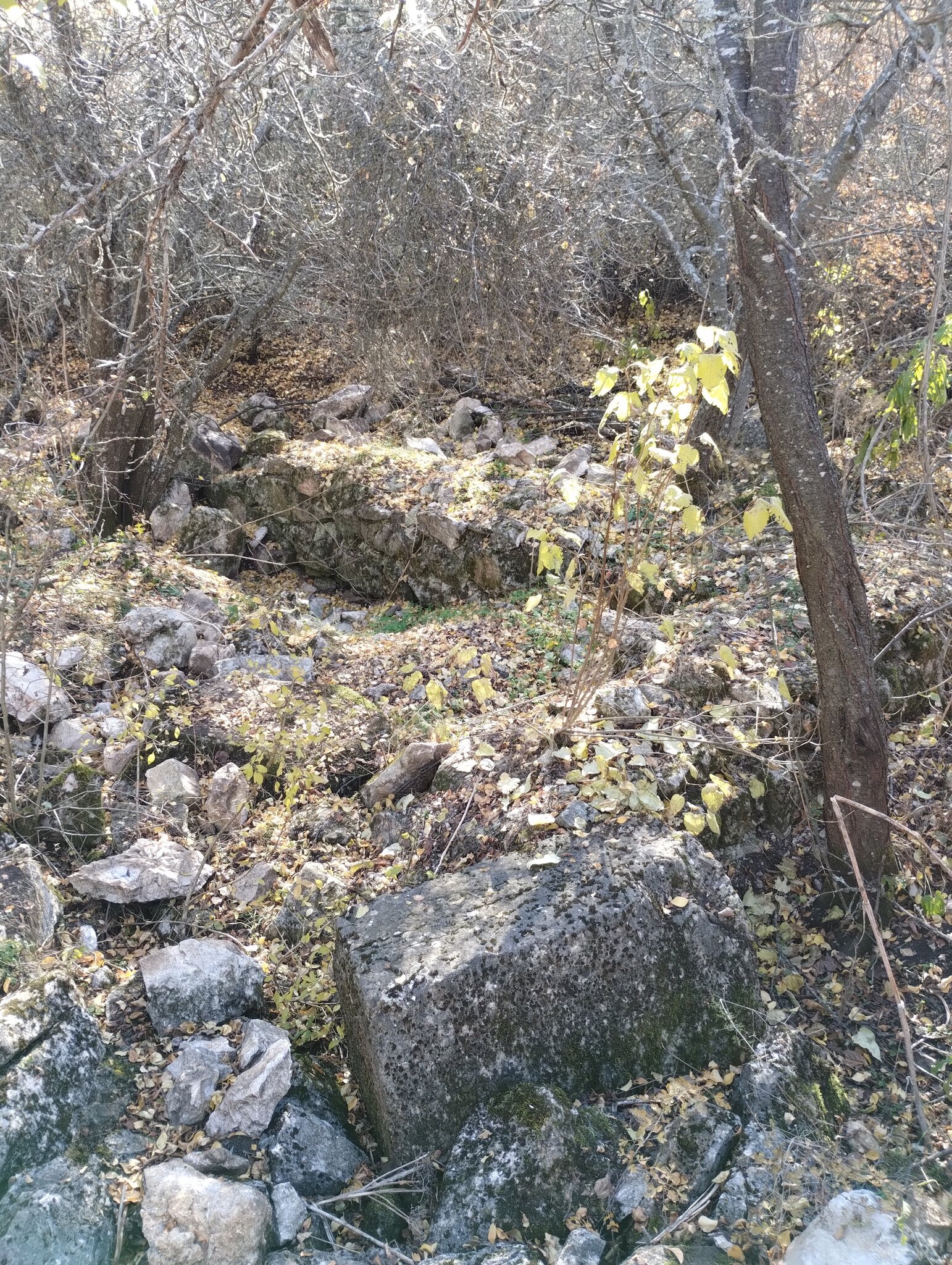 Натиснете снимката за да я уголемите

Име:IMG_20241109_115714388.jpg
Прегледи:409
Размер:1.26 МБ
ID:7000114