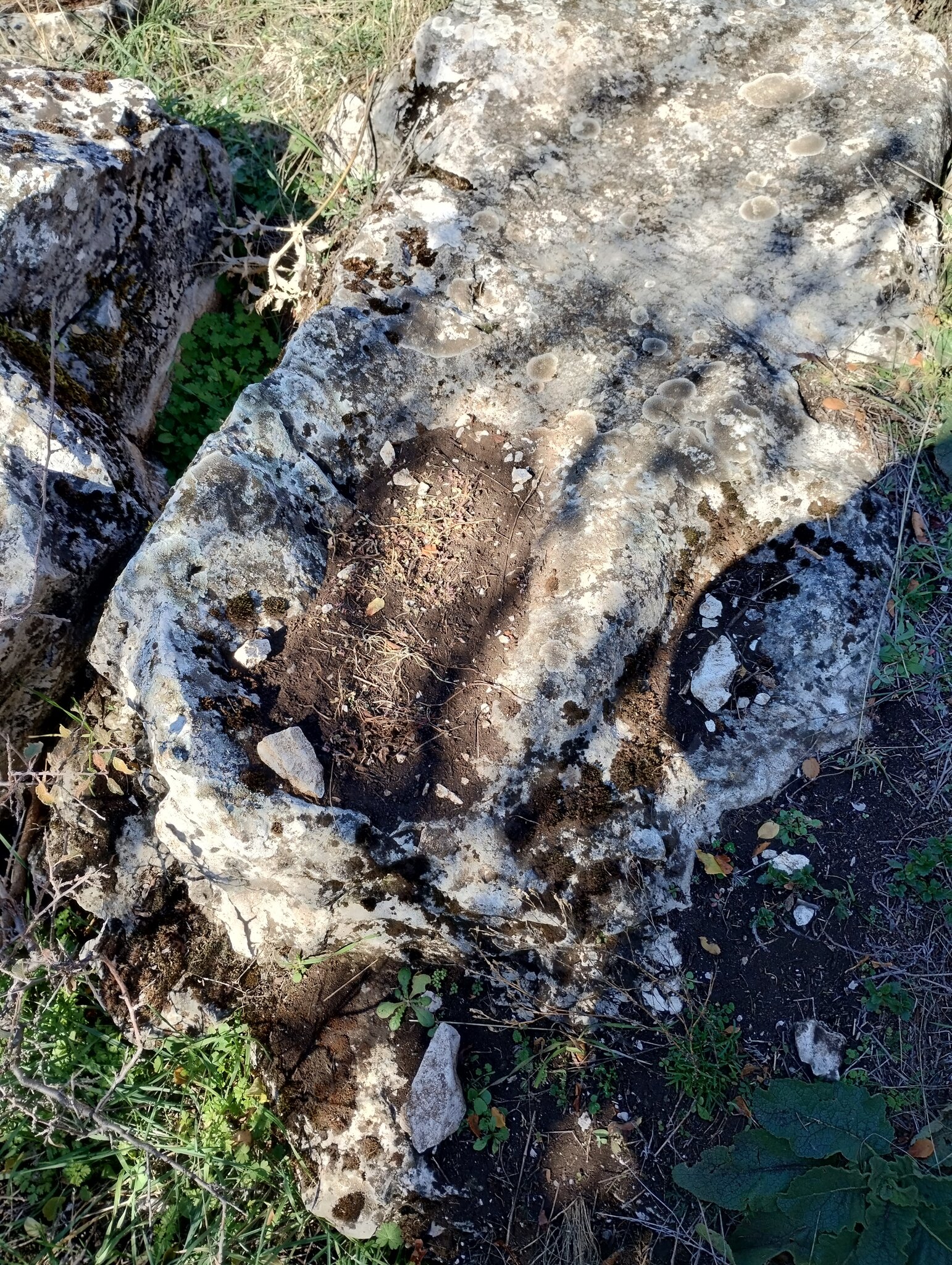 Натиснете снимката за да я уголемите

Име:IMG_20241109_120209769_HDR.jpg
Прегледи:410
Размер:1.17 МБ
ID:7000116