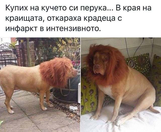 Натиснете снимката за да я уголемите

Име:500075084_1260122552786190_7646191930128905661_n.jpg
Прегледи:958
Размер:46.4 КБ
ID:7000303