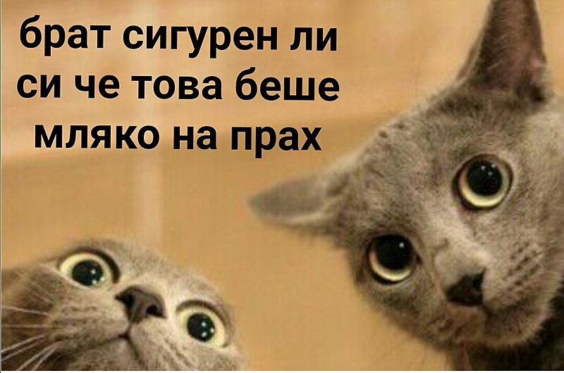 Натиснете снимката за да я уголемите

Име:8ybbg55e17m61.jpg
Прегледи:407
Размер:79.4 КБ
ID:7000529