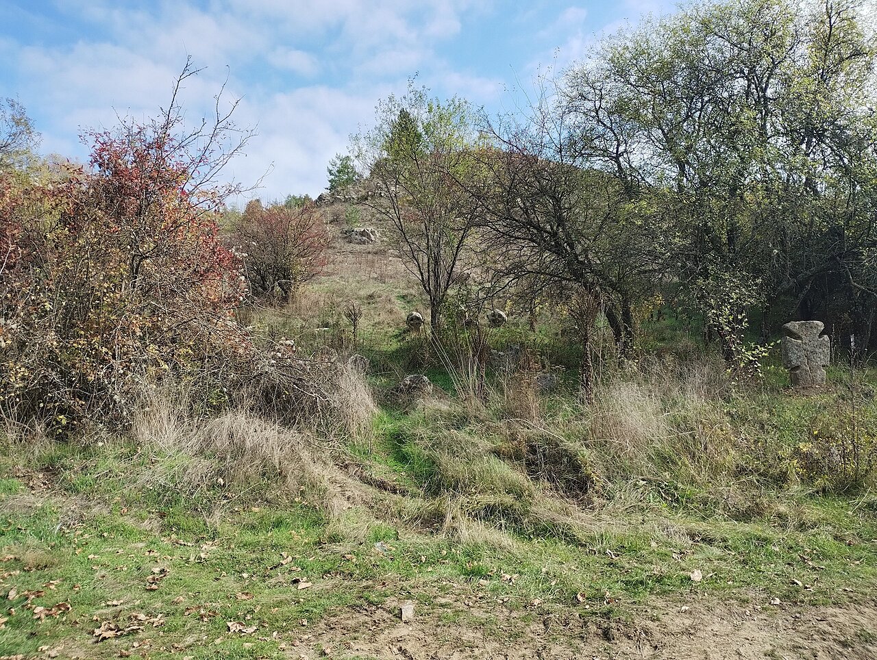 Натиснете снимката за да я уголемите

Име:IMG_20241019_131232099.jpg
Прегледи:174
Размер:1.97 МБ
ID:7003407