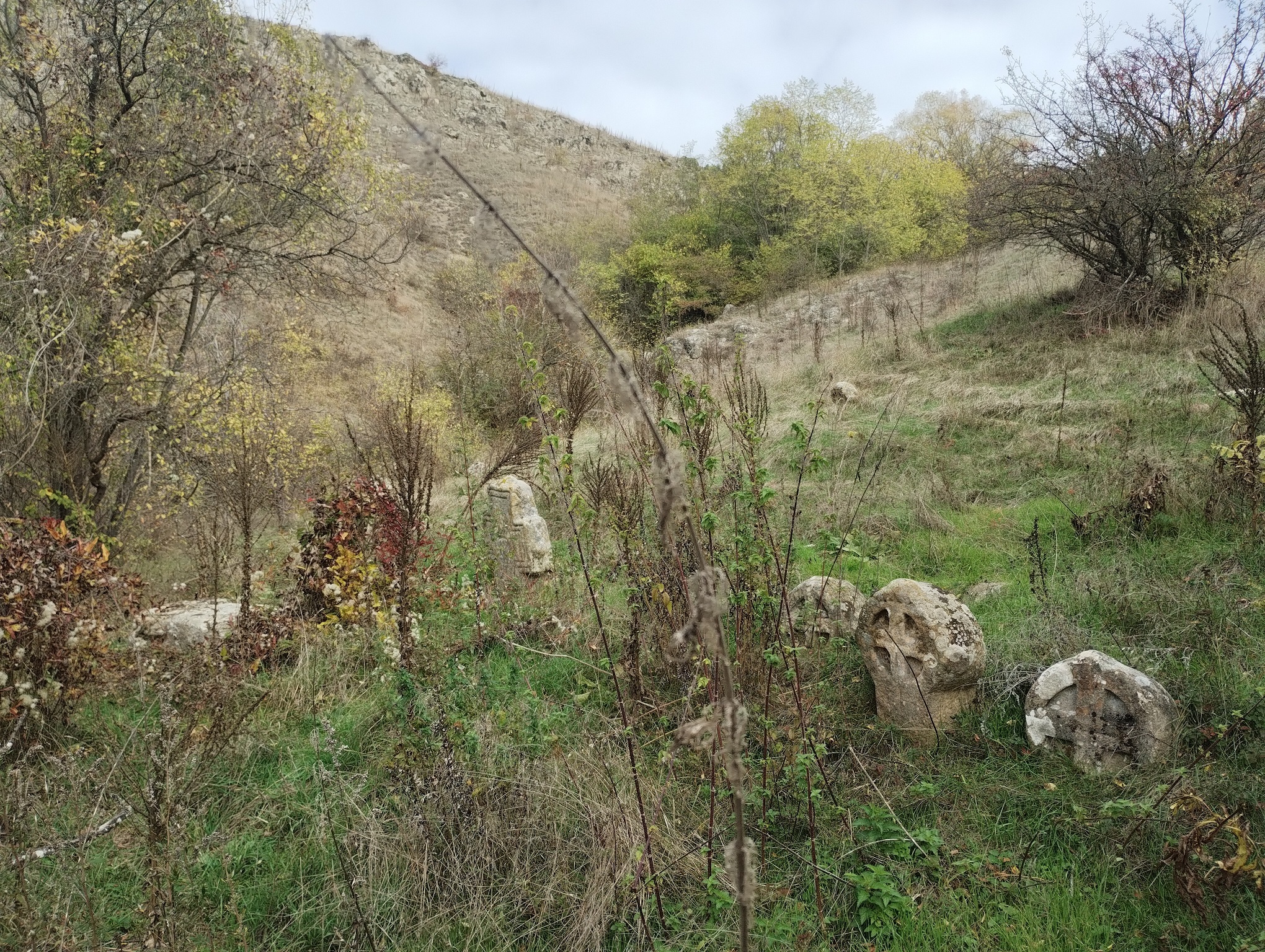 Натиснете снимката за да я уголемите

Име:IMG_20241019_130130623.jpg
Прегледи:173
Размер:1.89 МБ
ID:7003409