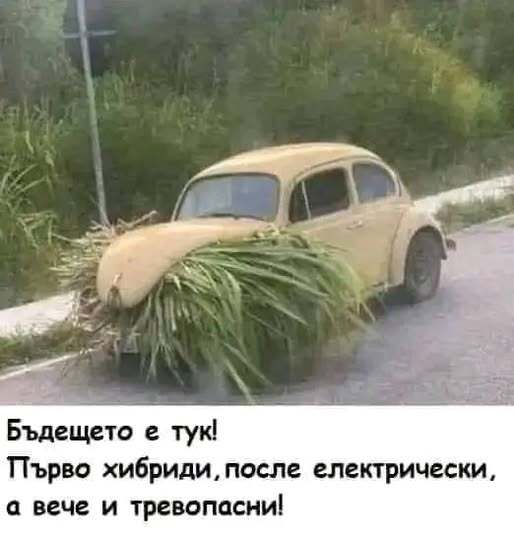 Натиснете снимката за да я уголемите

Име:515533166_10228260985739221_4094984000315074908_n.jpg
Прегледи:104
Размер:26.3 КБ
ID:7004503