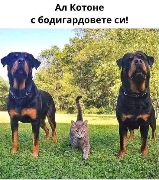 Натиснете снимката за да я уголемите

Име:519058961_1511518133624279_1137876136400967841_n.jpg
Прегледи:618
Размер:69.6 КБ
ID:7006560