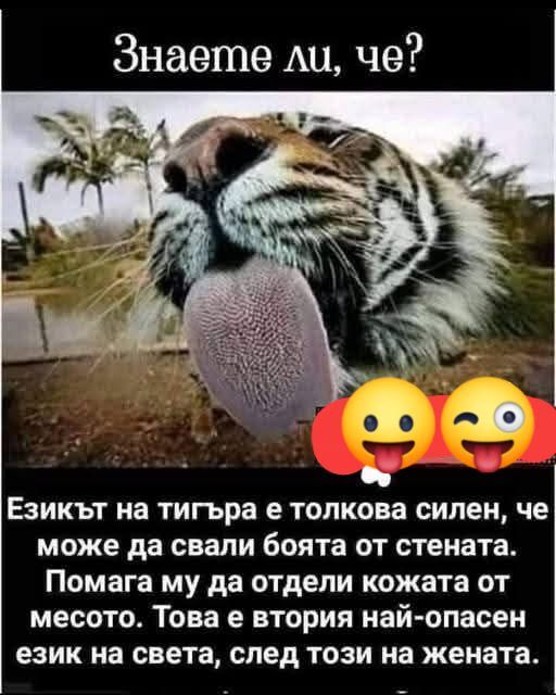 Натиснете снимката за да я уголемите

Име:524672660_9756212261146684_1999732954604346234_n.jpg
Прегледи:476
Размер:47.4 КБ
ID:7006884