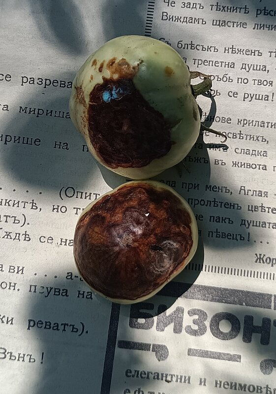 Натиснете снимката за да я уголемите  Име:IMG_20250802_140035_323.jpg Прегледи:0 Размер:449.2 КБ ID:7007739