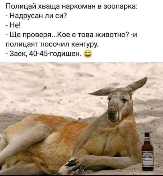 Натиснете снимката за да я уголемите

Име:530751033_778856984590087_7174140332054484048_n.jpg
Прегледи:393
Размер:31.5 КБ
ID:7008234